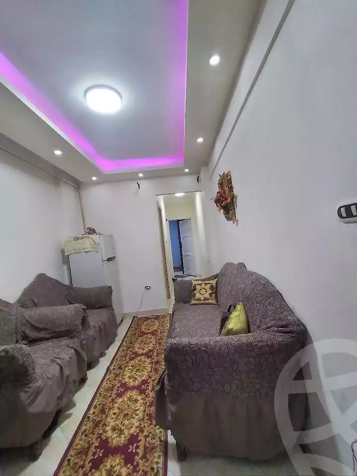 https://aqarmap.com.eg/en/listing/6591906-for-sale-alexandria-lsywf-el-falki-street-16-el-eslah