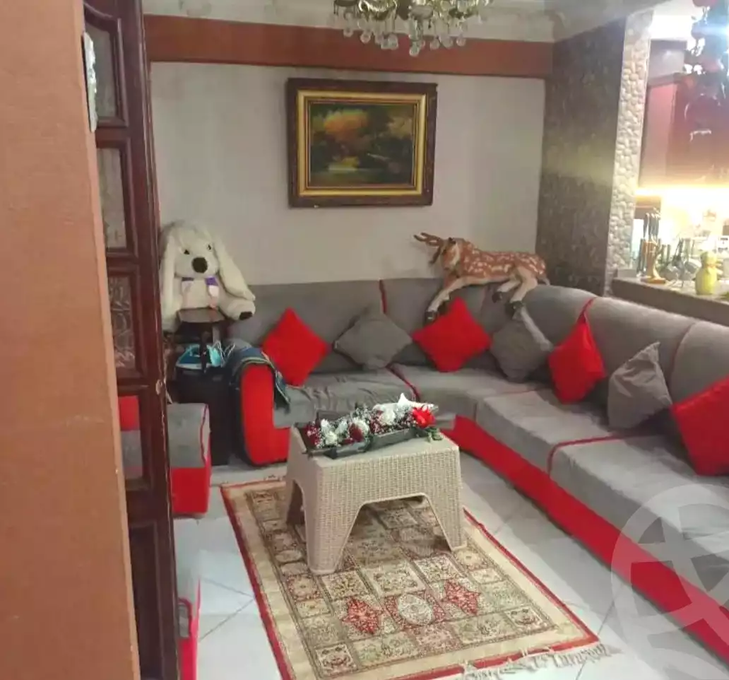 https://aqarmap.com.eg/en/listing/6599124-for-sale-alexandria-bakoos