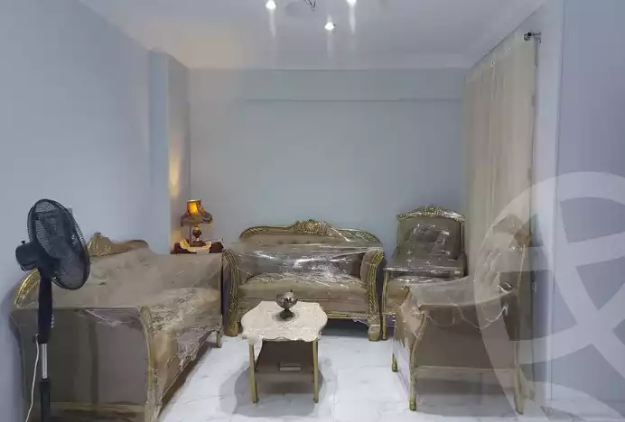 https://aqarmap.com.eg/en/listing/6599320-for-rent-cairo-ain-shams-ain-shams-el-sharkia-fahmy-ghaly-st