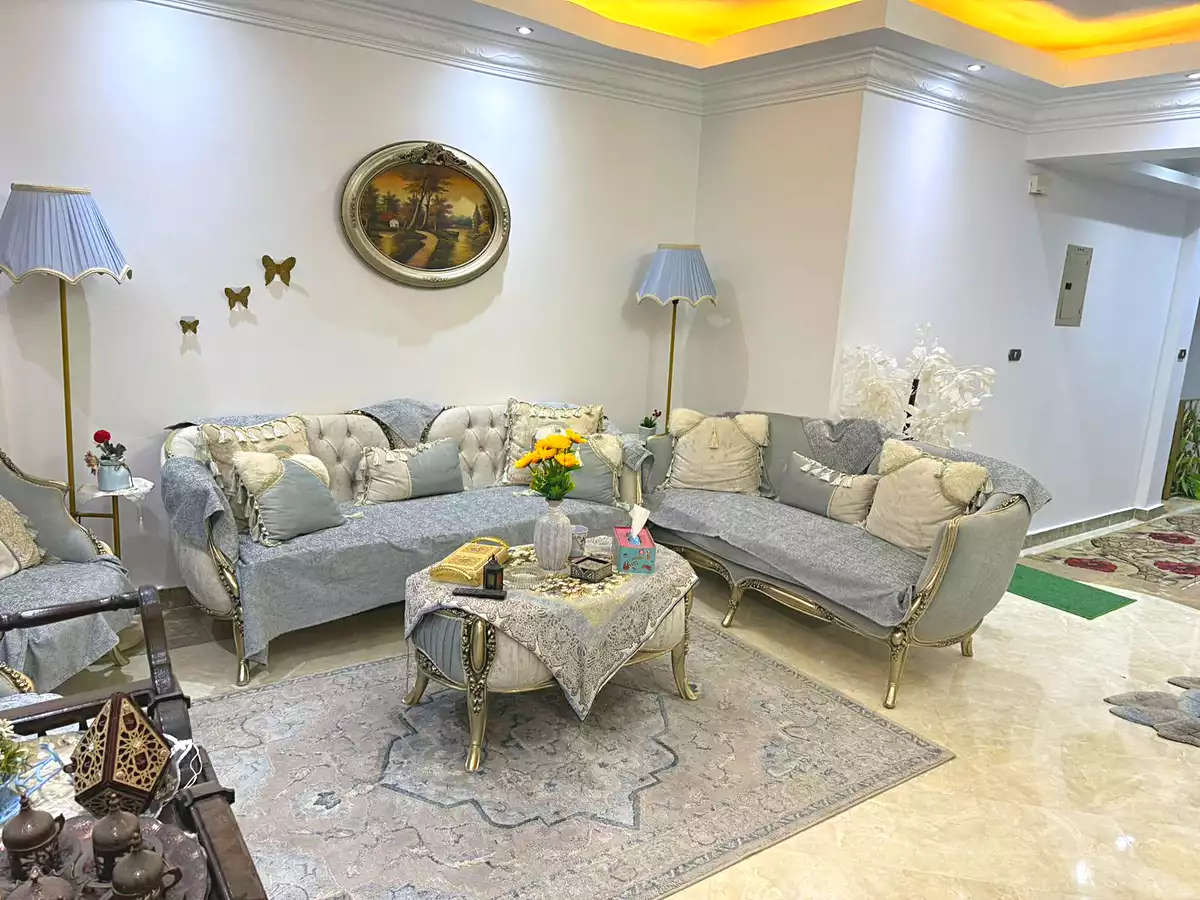 https://aqarmap.com.eg/en/listing/6600707-for-sale-cairo-new-cairo-el-ahyaa-third-neighborhood-street-11