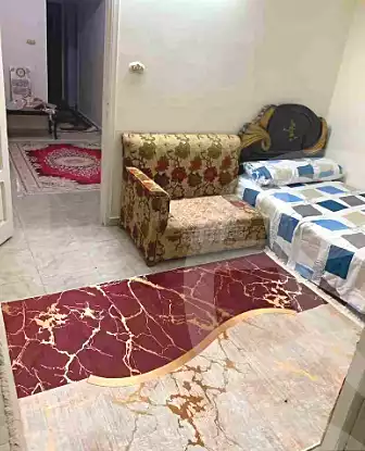 https://aqarmap.com.eg/en/listing/6602033-for-rent-sharqia-zagazig-zagazig-city