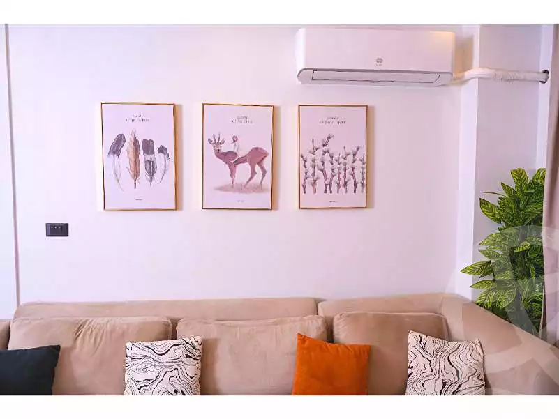 https://aqarmap.com.eg/en/listing/6602134-for-rent-cairo-new-cairo-madinaty-twelfth-zone-buildings-madinaty-b-12