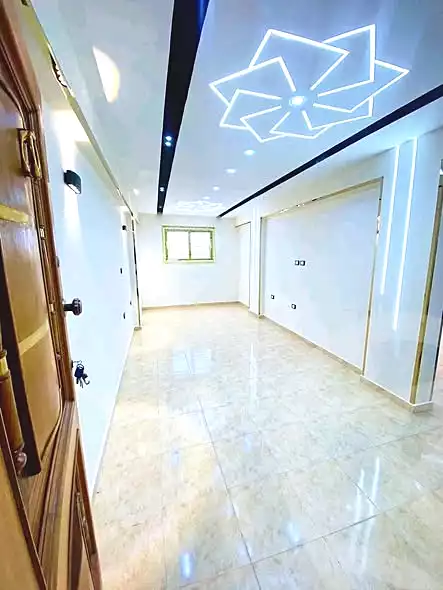 https://aqarmap.com.eg/en/listing/6609203-for-sale-alexandria-lsywf-el-falki