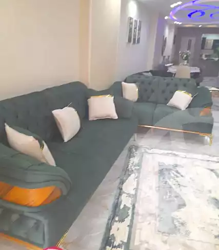 https://aqarmap.com.eg/en/listing/6611439-for-rent-cairo-faisal