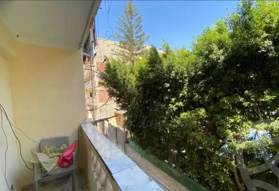 https://aqarmap.com.eg/en/listing/6619664-for-rent-alexandria-l-jmy-lbytsh-el-hanafeya-st