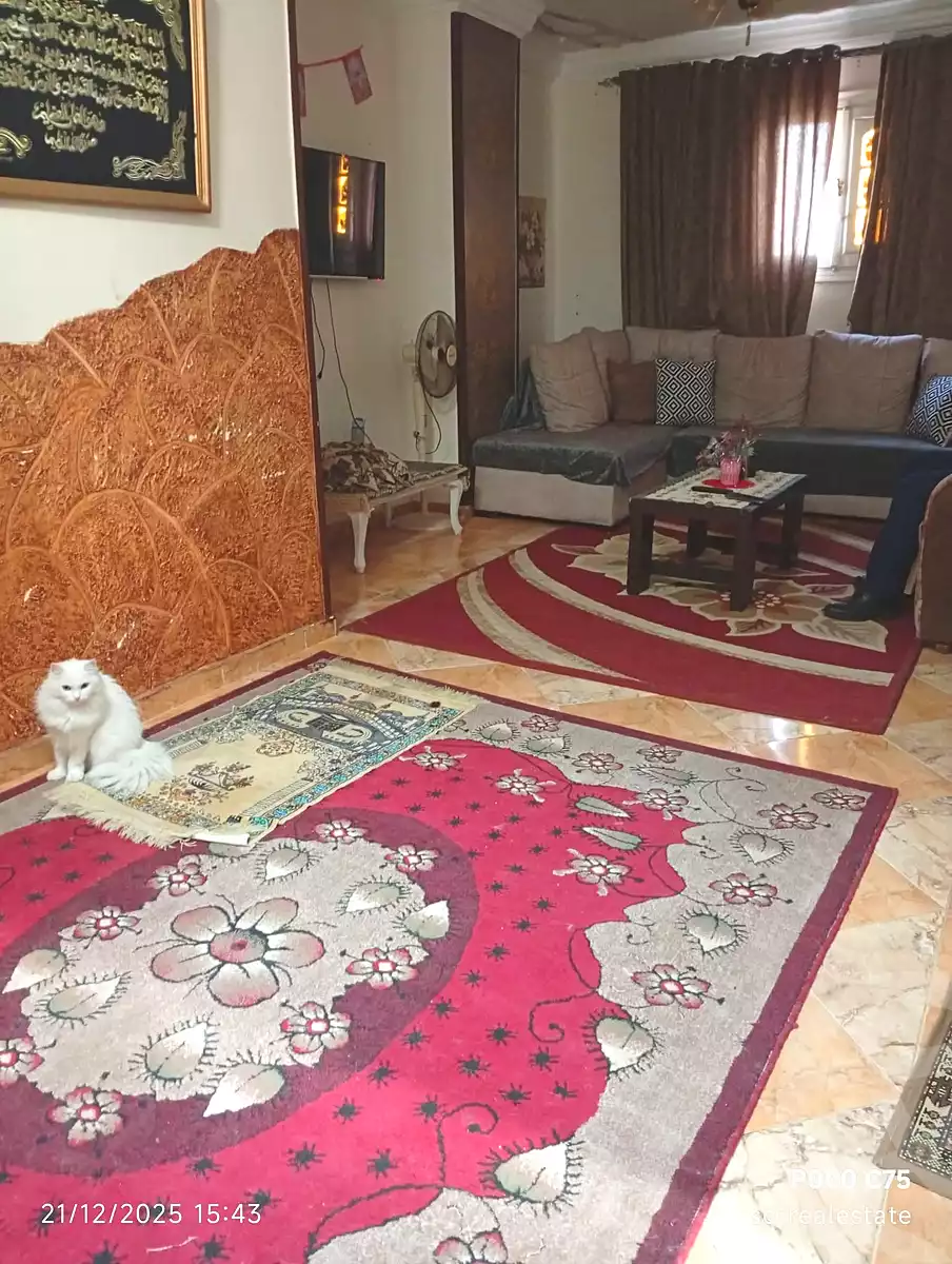 https://aqarmap.com.eg/ar/listing/6624027-for-sale-alexandria-sydy-bshr-sydy-bshr-qbly-shr-ql-bsh