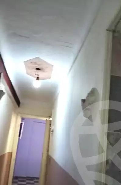 https://aqarmap.com.eg/ar/listing/6633133-for-sale-alexandria-lm-mwr-el-maamora-el-balad
