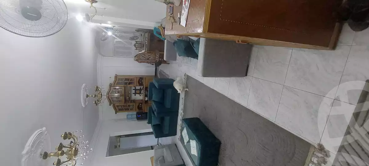 https://aqarmap.com.eg/en/listing/6634362-for-rent-cairo-el-zaytun-hlmy-lzytwn-ain-shams-st