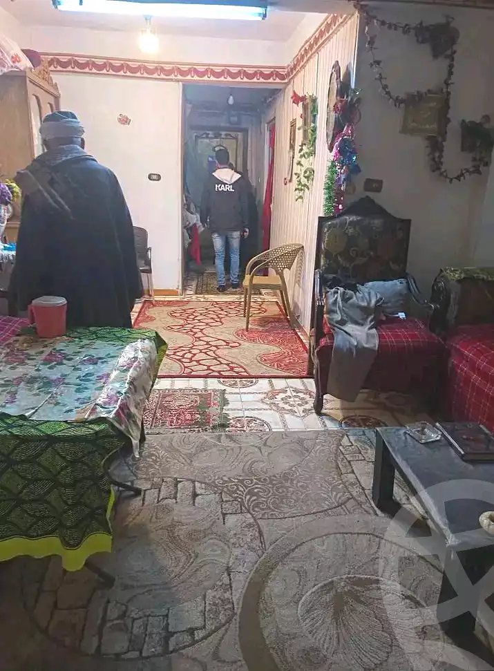 https://aqarmap.com.eg/en/listing/6637474-for-sale-alexandria-l-jmy