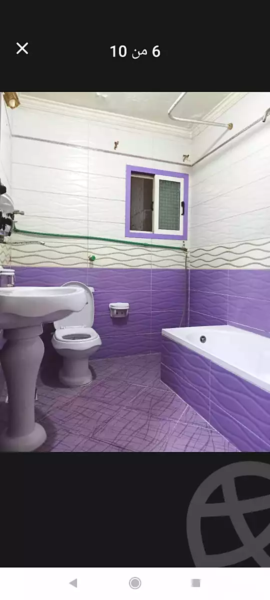 https://aqarmap.com.eg/en/listing/6644359-for-rent-alexandria-l-jmy-lbytsh