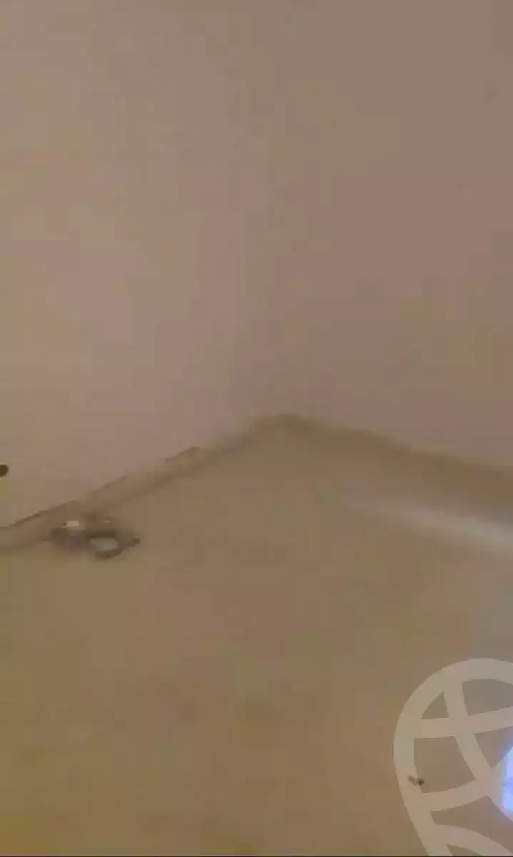 https://aqarmap.com.eg/en/listing/6650288-for-rent-alexandria-sydy-bshr