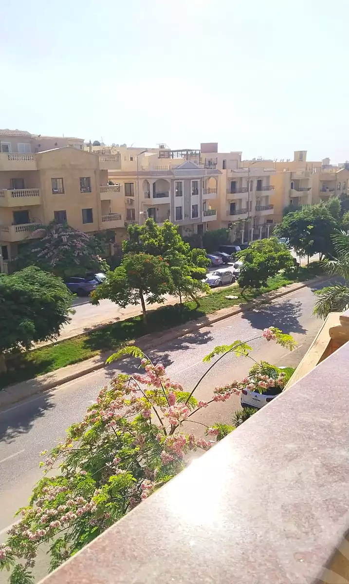 https://aqarmap.com.eg/en/listing/6650444-for-rent-cairo-new-cairo-el-narges-el-narges-4-wasef-ghaly-basha-st