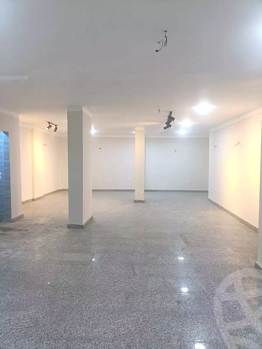 https://aqarmap.com.eg/en/listing/6653979-for-rent-cairo-mokattam-el-hadabah-el-wosta-el-mantaqa-el-olaa-baron-school-street