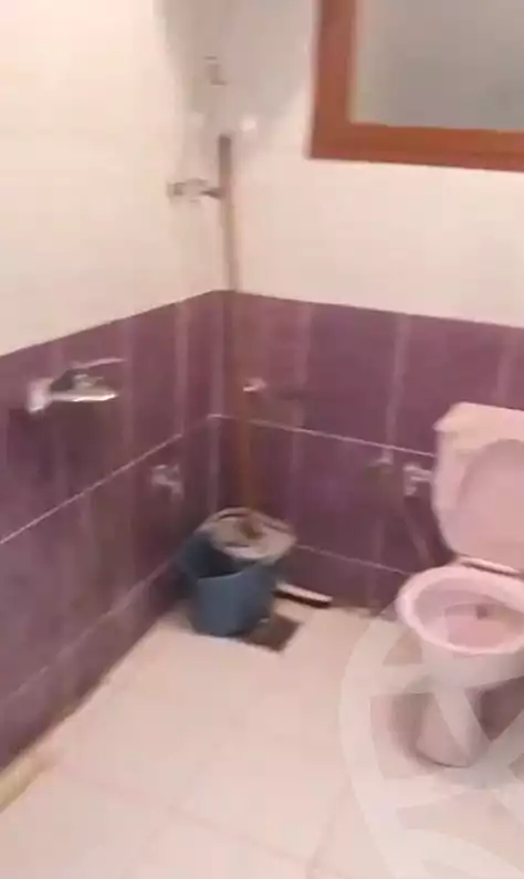 https://aqarmap.com.eg/ar/listing/6654989-for-sale-alexandria-l-jmy-el-hanouvel