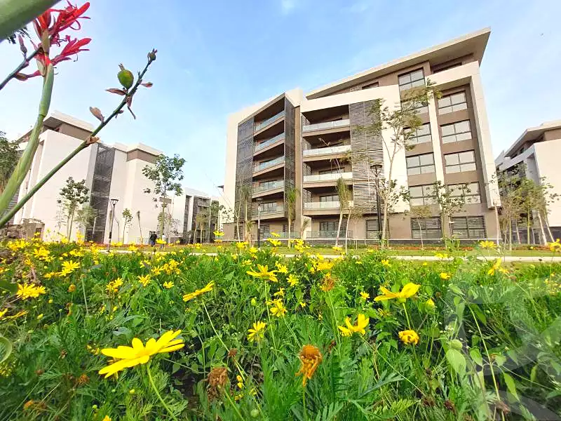 https://aqarmap.com.eg/en/listing/6655233-for-sale-cairo-new-cairo-madinaty-fifteenth-zone-buildings-madinaty-b-15
