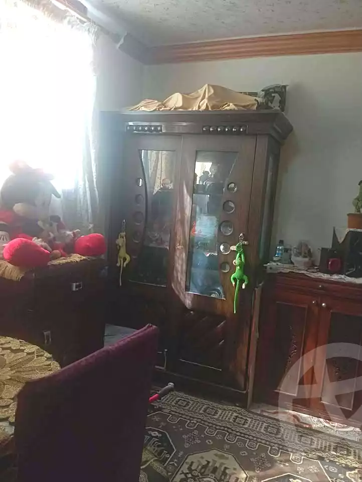https://aqarmap.com.eg/en/listing/6657930-for-sale-alexandria-el-mandara-nabawy-al-mohandes-st