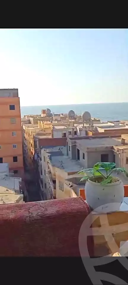 https://aqarmap.com.eg/ar/listing/6660136-for-sale-alexandria-l-jmy-lbytsh-bianchiii