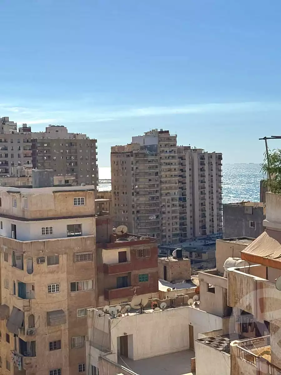 https://aqarmap.com.eg/ar/listing/6667041-for-sale-alexandria-el-asafra-l-sfr-bhry-edrees-st