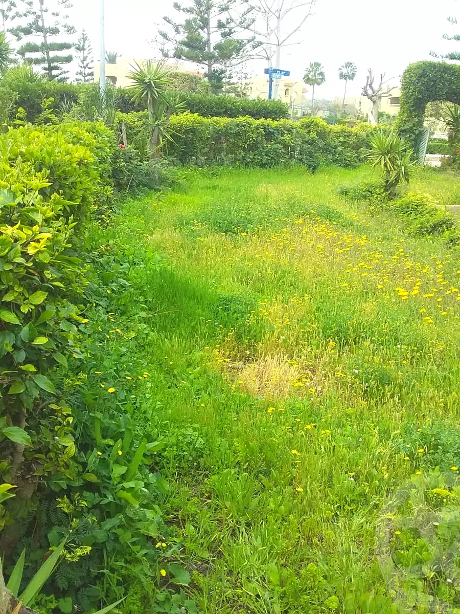 https://aqarmap.com.eg/en/listing/6668272-for-sale-north-coast-resorts-green