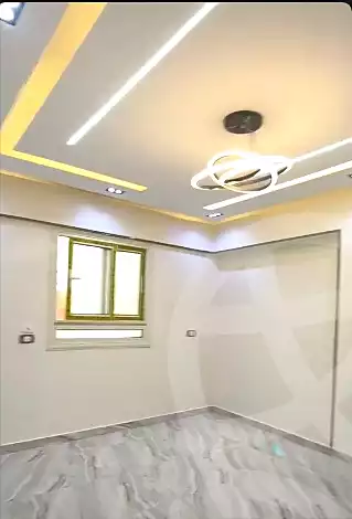 https://aqarmap.com.eg/en/listing/6668596-for-sale-cairo-elnozha-Streettt-27