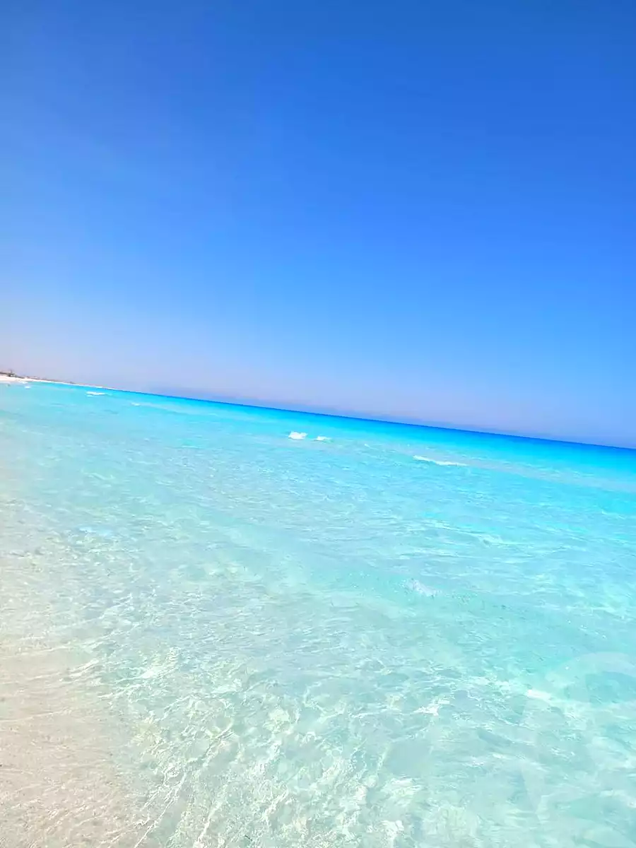 https://aqarmap.com.eg/ar/listing/6669012-for-sale-north-coast-resorts-mntj-syl