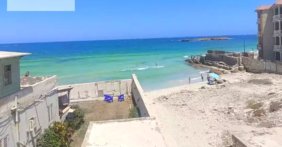 https://aqarmap.com.eg/ar/listing/6670459-for-rent-alexandria-l-jmy-lbytsh-shahr-al-assal-st