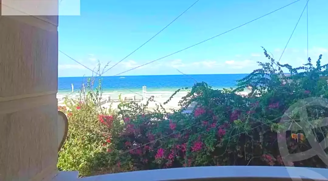 https://aqarmap.com.eg/ar/listing/6670462-for-rent-alexandria-l-jmy-lbytsh-shahr-al-assal-st