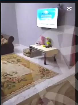 https://aqarmap.com.eg/en/listing/6672588-for-sale-cairo-ain-shams-ahmed-esmat-st