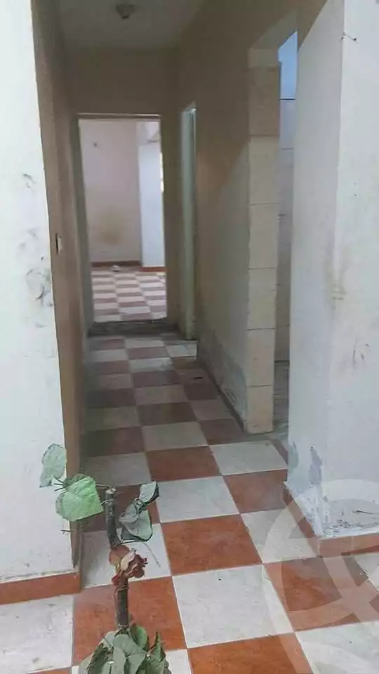 https://aqarmap.com.eg/en/listing/6674743-for-rent-cairo-faisal-el-maryotyah