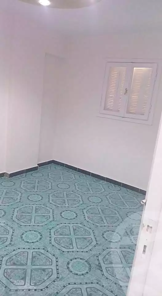 https://aqarmap.com.eg/en/listing/6676822-for-sale-alexandria-el-mandara-moritania-st