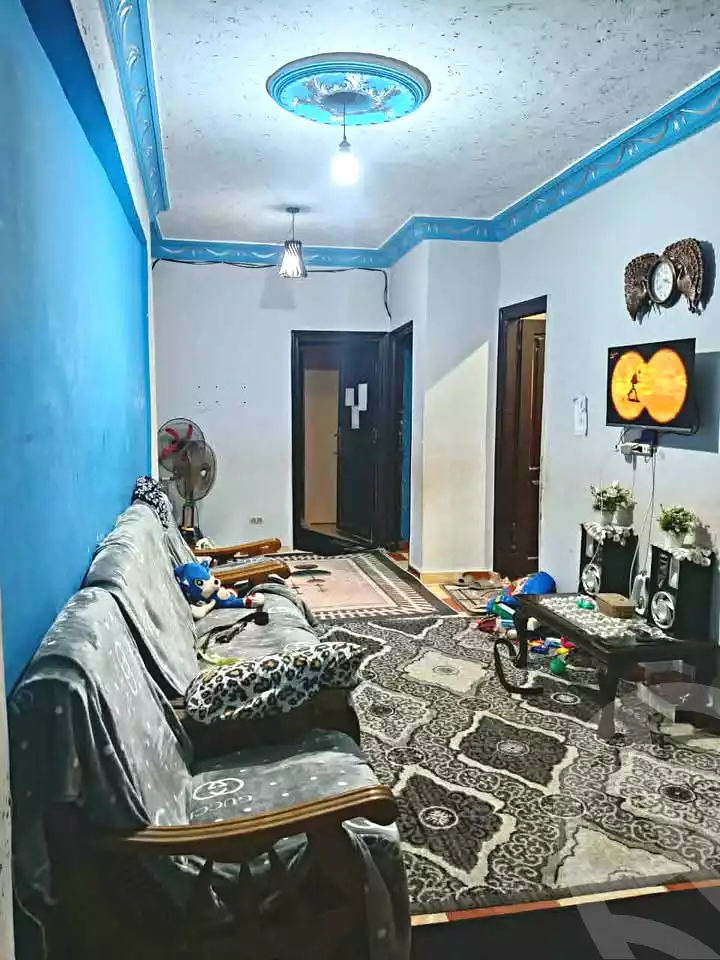 https://aqarmap.com.eg/en/listing/6677541-for-sale-alexandria-l-jmy-lbytsh