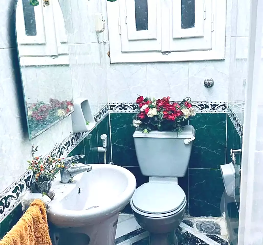 https://aqarmap.com.eg/ar/listing/6679007-for-sale-alexandria-ganaklis