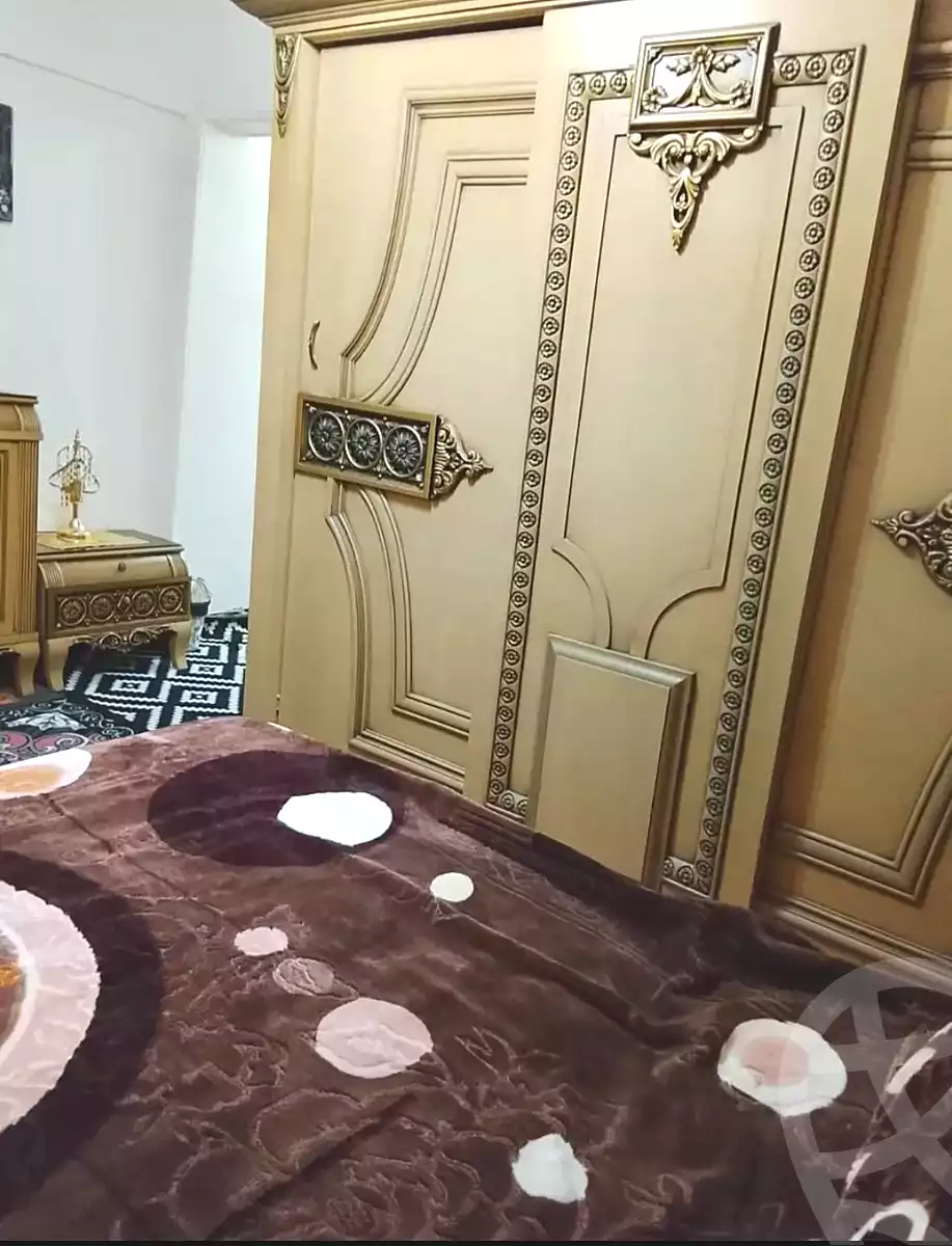 https://aqarmap.com.eg/en/listing/6689548-for-sale-alexandria-l-jmy-lbytsh-princess-st