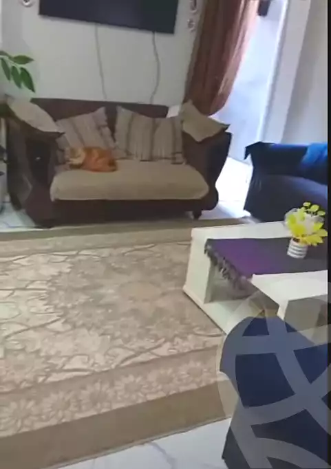 https://aqarmap.com.eg/en/listing/6691717-for-sale-cairo-helwan-lazoghli-st