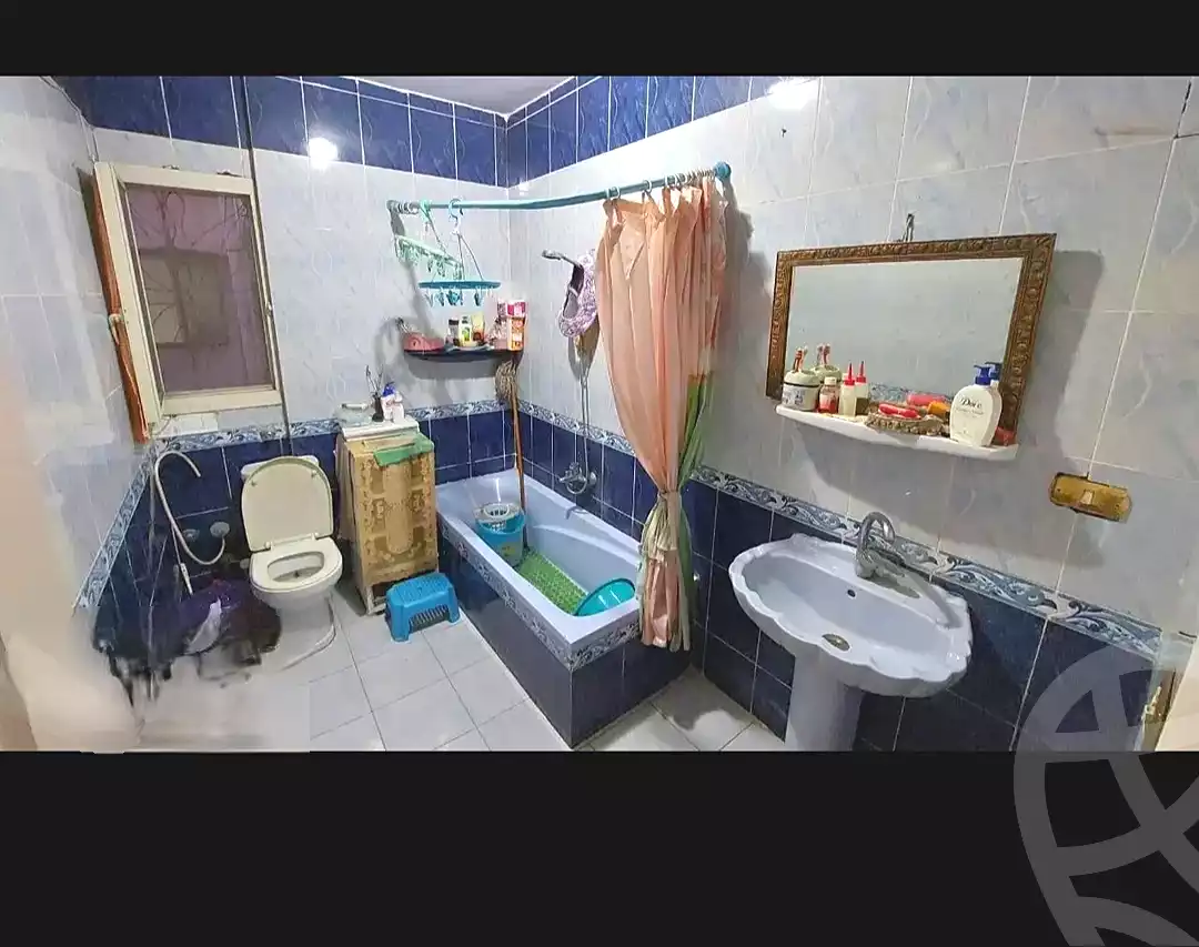 https://aqarmap.com.eg/en/listing/6691958-for-rent-alexandria-lsywf