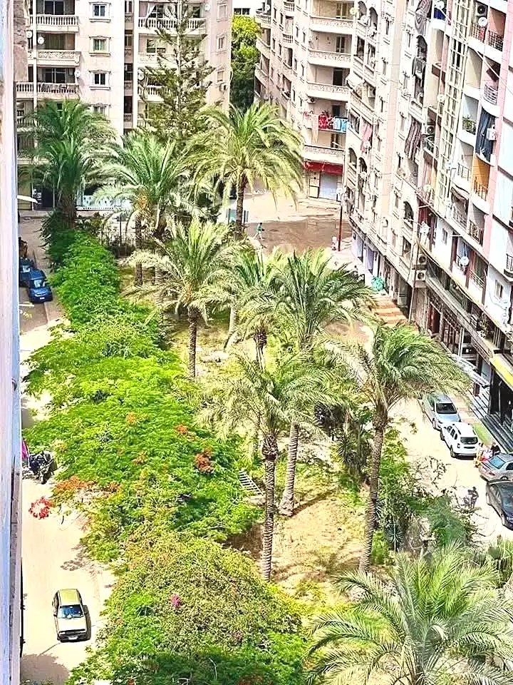 https://aqarmap.com.eg/en/listing/6694112-for-sale-alexandria-l-jmy-lbytsh-bianchiii-el-arbaeen-st