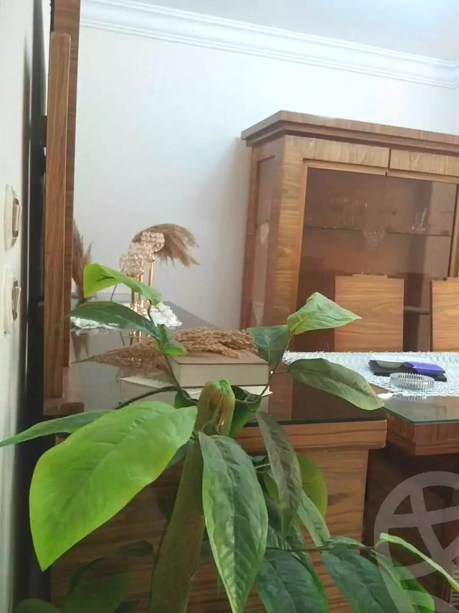 https://aqarmap.com.eg/ar/listing/6694194-for-rent-alexandria-l-jmy-el-hanouvel