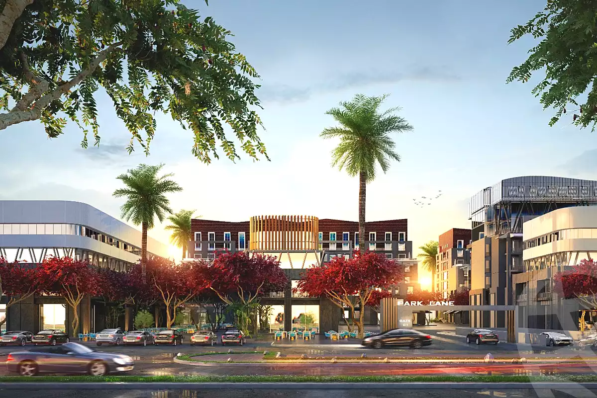 https://aqarmap.com.eg/ar/listing/6694288-for-sale-cairo-new-administrative-capital-r7-park-lane