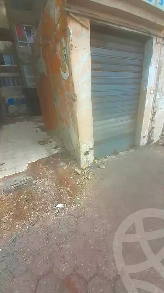 https://aqarmap.com.eg/en/listing/6694521-for-rent-alexandria-el-asafra