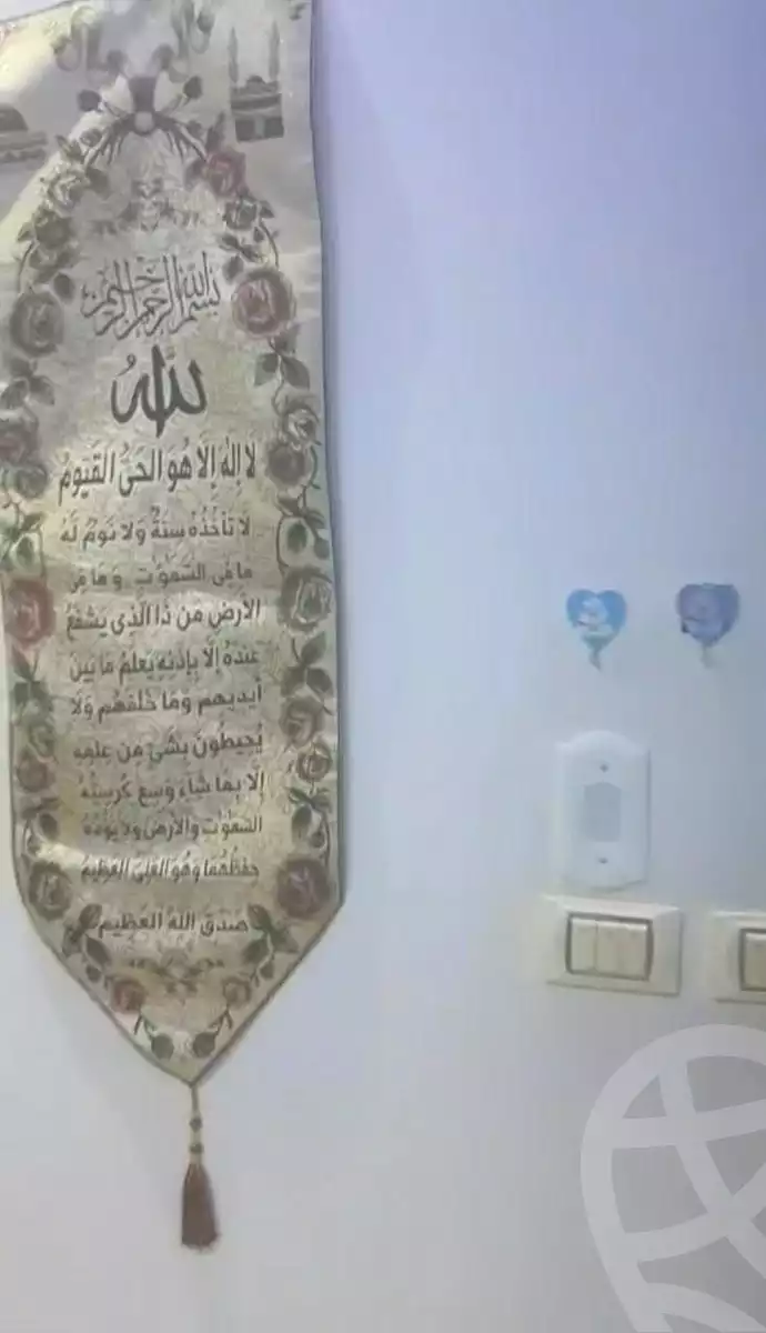 https://aqarmap.com.eg/en/listing/6694757-for-sale-cairo-faisal-el-lebeny
