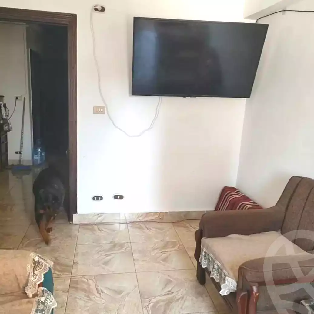 https://aqarmap.com.eg/en/listing/6694823-for-sale-alexandria-l-jmy-lbytsh-bianchiii-street-11