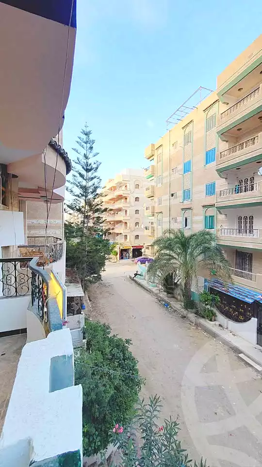 https://aqarmap.com.eg/en/listing/6697415-for-sale-alexandria-l-jmy-shataa-el-nakheel