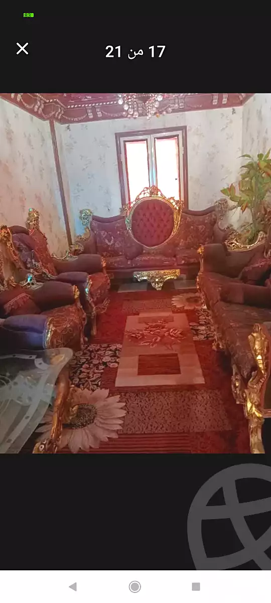 https://aqarmap.com.eg/ar/listing/6699882-for-rent-alexandria-l-jmy-lbytsh-al-aeda-al-kadema-st