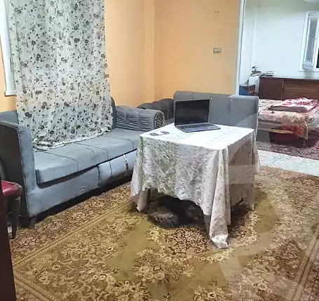 https://aqarmap.com.eg/en/listing/6700598-for-rent-cairo-heliopolis-heliopolis-square