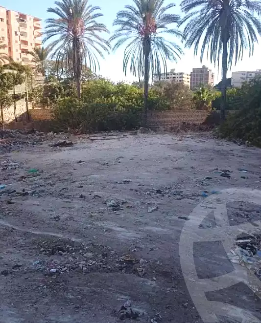 https://aqarmap.com.eg/ar/listing/6701173-for-sale-alexandria-l-jmy-el-hanouvel