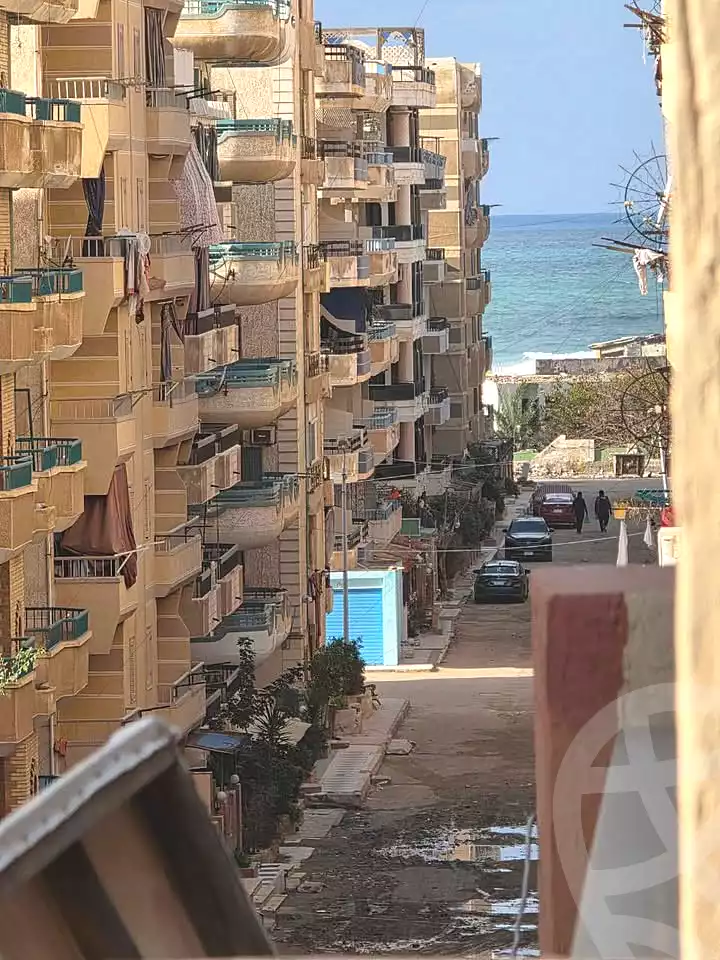 https://aqarmap.com.eg/en/listing/6705028-for-sale-alexandria-l-jmy-shataa-el-nakheel