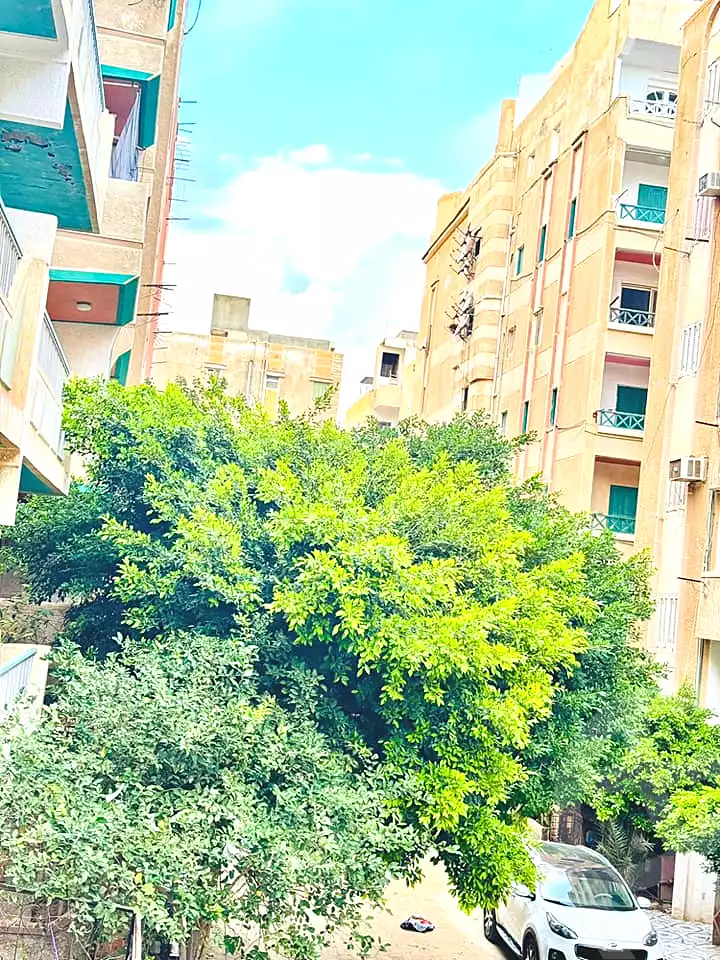 https://aqarmap.com.eg/ar/listing/6705679-for-sale-alexandria-l-jmy-shataa-el-nakheel