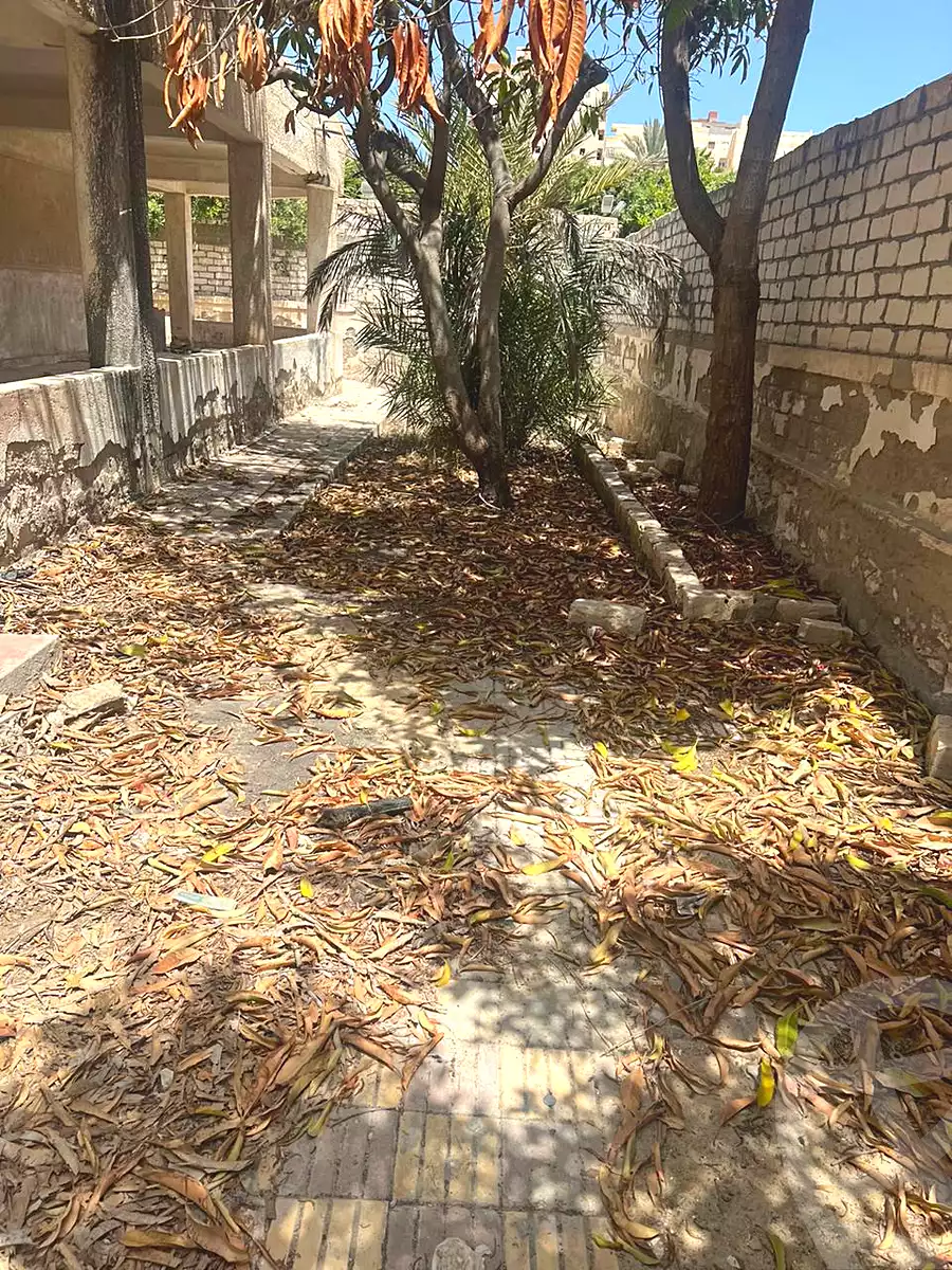 https://aqarmap.com.eg/ar/listing/6563156-for-sale-alexandria-l-jmy-bw-ywsf