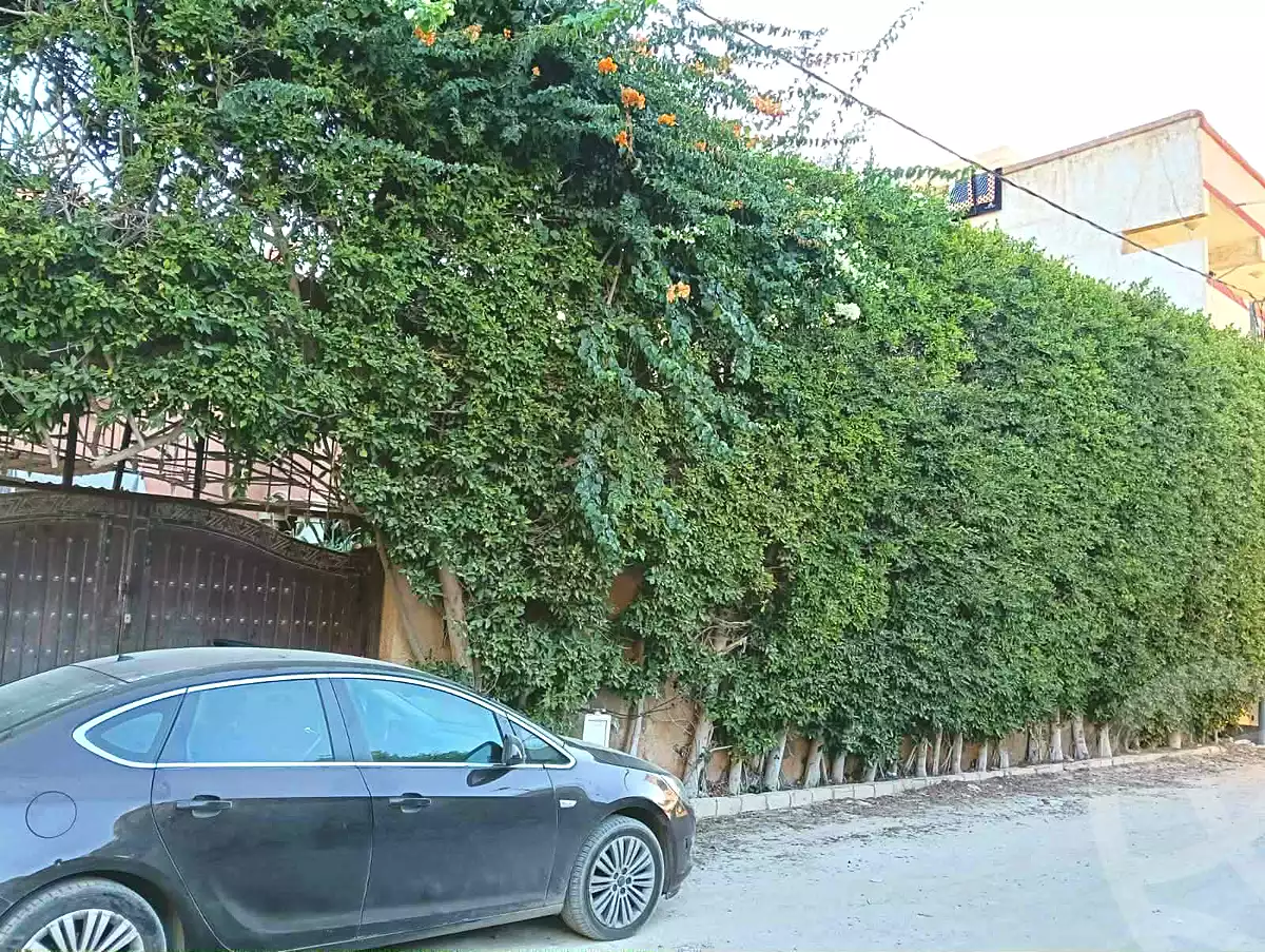 https://aqarmap.com.eg/en/listing/6706957-for-sale-alexandria-l-jmy-lbytsh-el-hanafeya-st