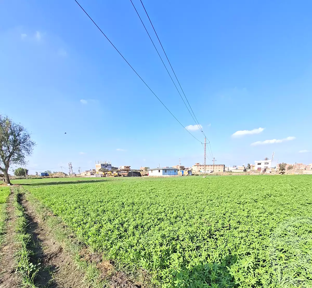 https://aqarmap.com.eg/en/listing/6623703-for-sale-sharqia-faqous-el-sawaleh